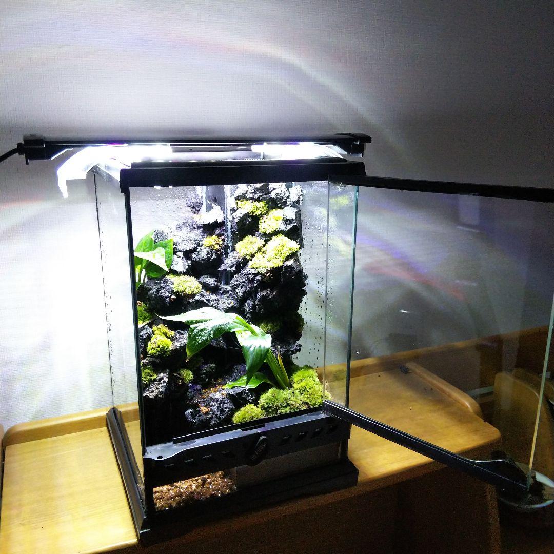 【オーダーメイド】滝のあるアクアテラリウム　苔テラリウム　アクアリウム