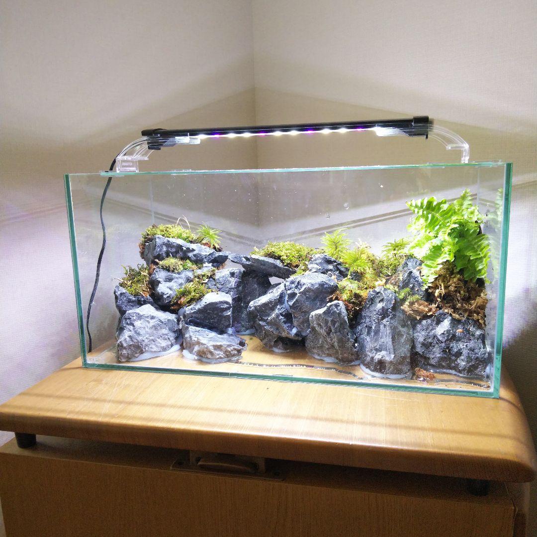 【オーダーメイド】滝のあるアクアテラリウム　苔テラリウム　アクアリウム