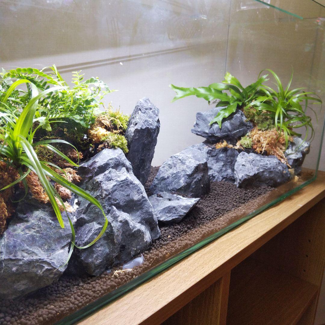 【オーダーメイド】滝のあるアクアテラリウム　苔テラリウム　アクアリウム