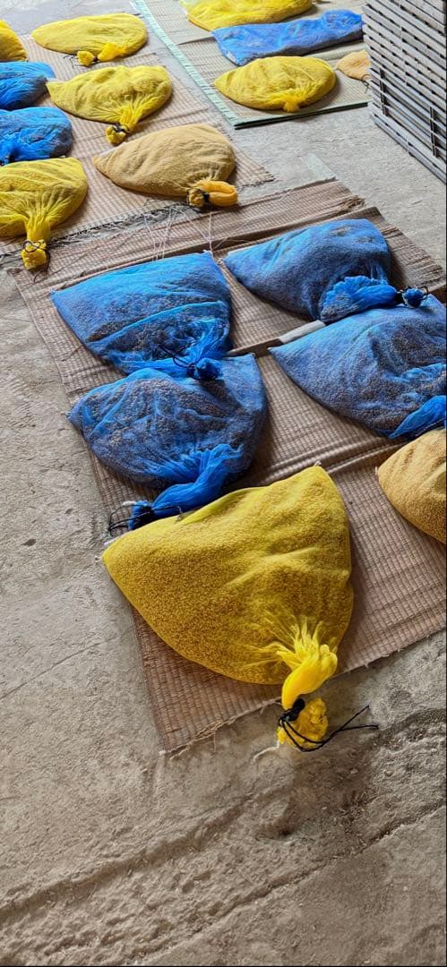 令和7年　埼玉県産　彩のきずな　白米10キロ