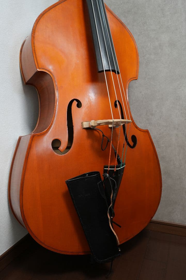 オール単板 GLIGA Gems Ⅰ Gamba Shape Flat Back