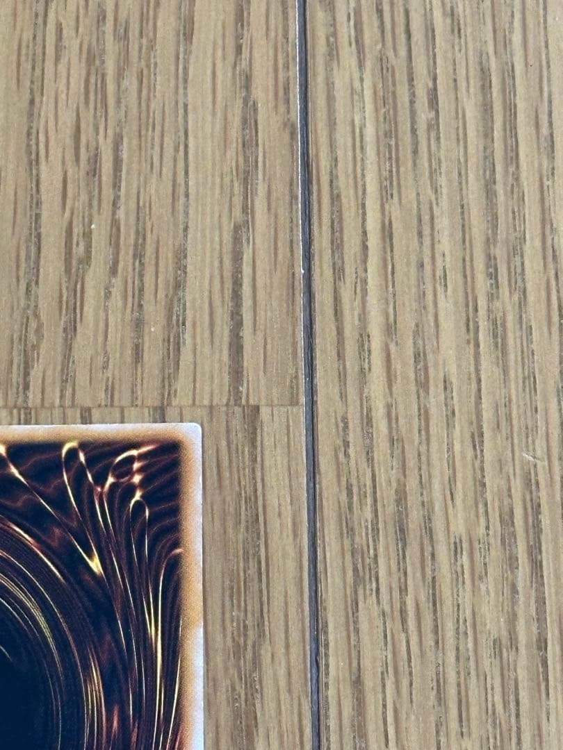 遊戯王　ダーク・ネクロフィア レリーフ