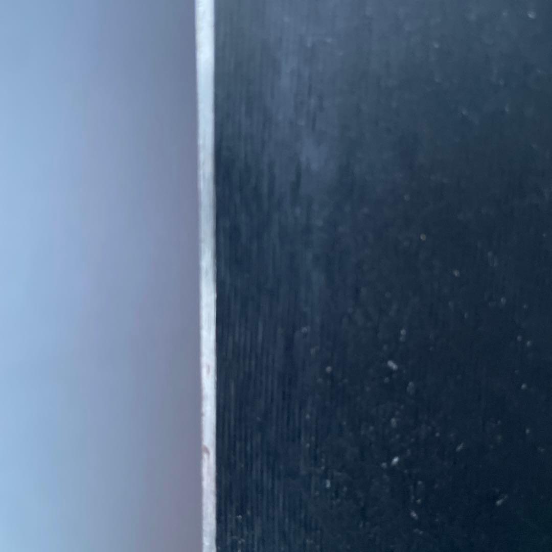 BLIZZARD FIREBIRD スキー　GS