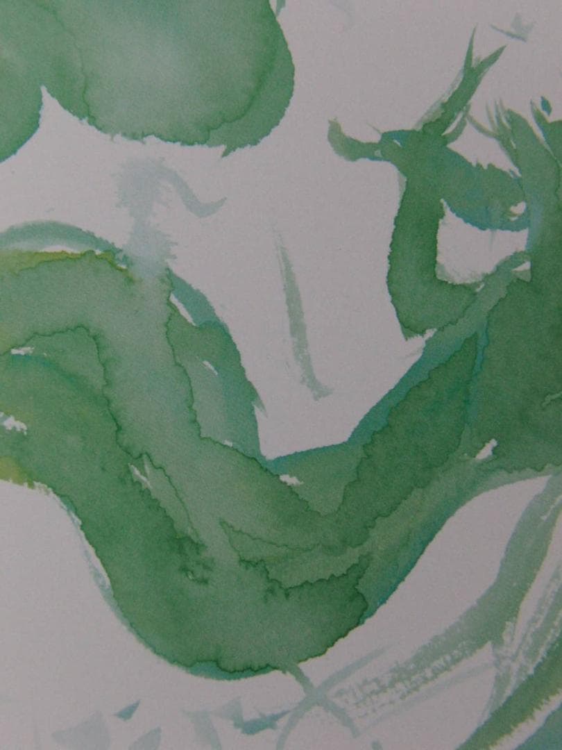 天野喜孝、希少な額装用画集より、新品額装付、状態良好