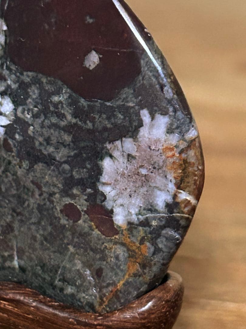 菊花石　菊紋石　根尾菊花石　飾石　天然石　水石　鑑賞石　自然石　原石　鉱物　置物