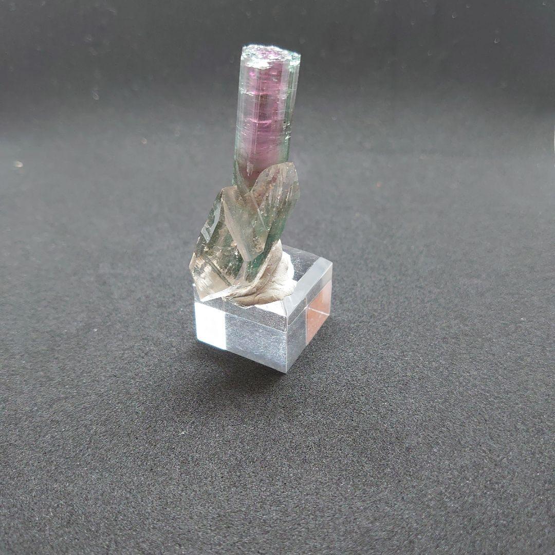 トルマリンと水晶の共生標本