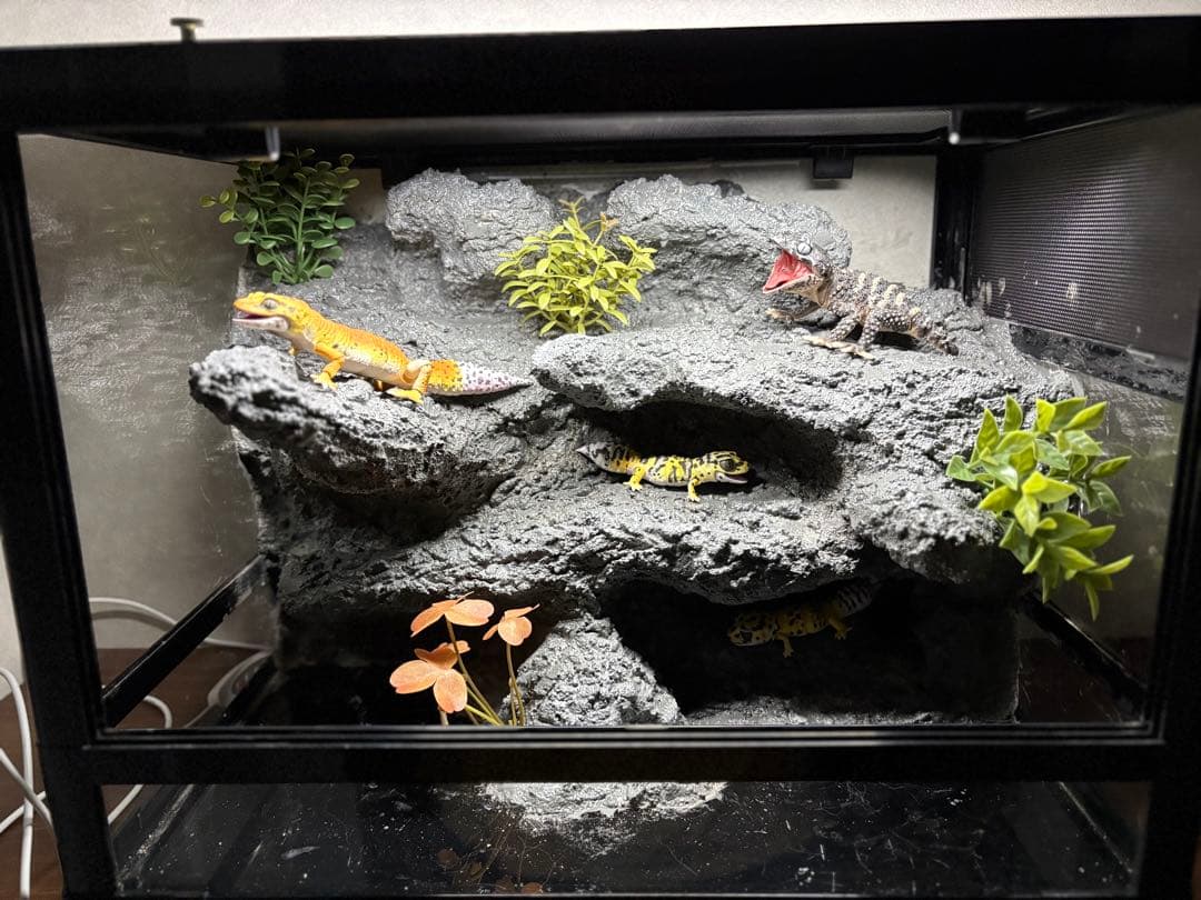 爬虫類ケージ　爬虫類フルレイアウトケージ　パンテオン4535