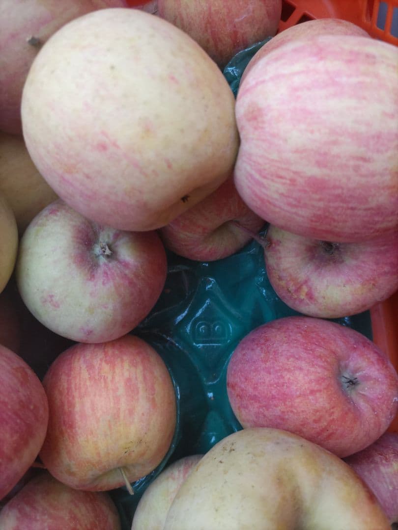 良品 葉取らずサンフジ20kg以上 数量限定 通常価格12500円 劣化防止出荷