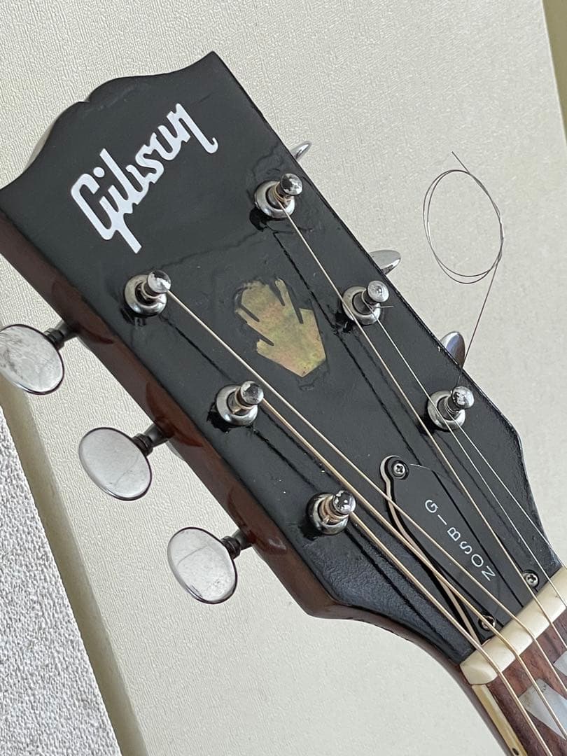 エレアコ仕様 　なにかと話題のTomson DOVEモデル(多分)