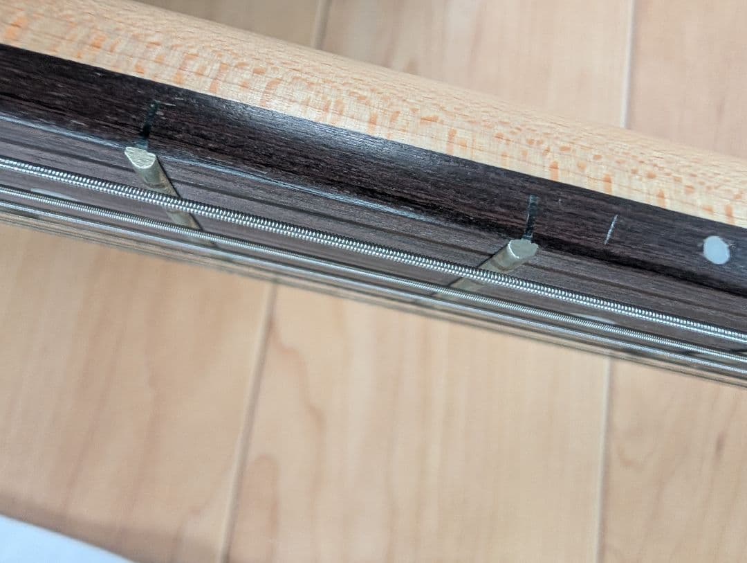 (初心者向け)SELDER エレキギター ブラック スタンド付き