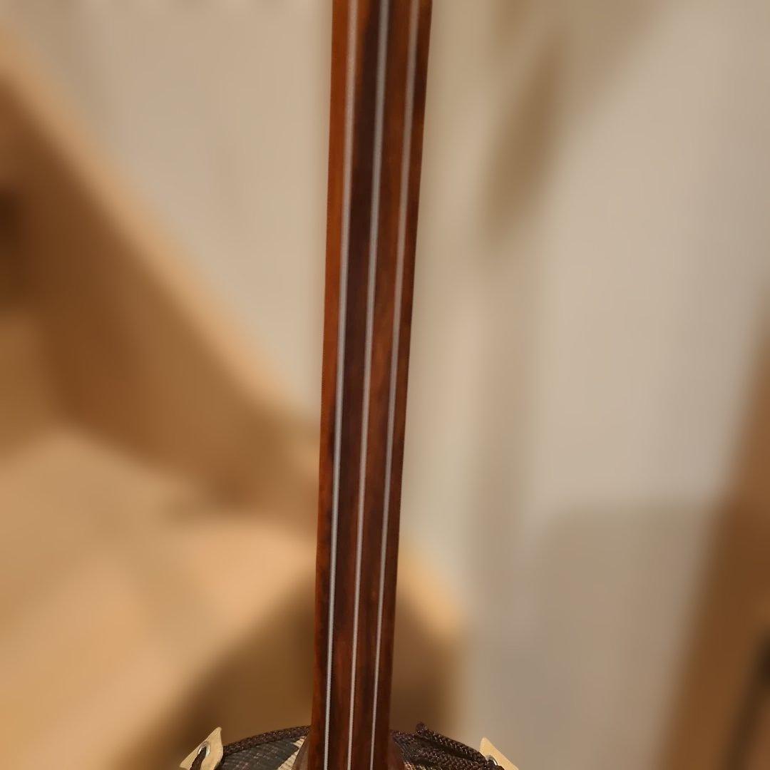 ✨希少✨沖縄三線 蛇柄 ヘビ柄 人工皮 工工四シール 頭カバー 爪付き 三味線