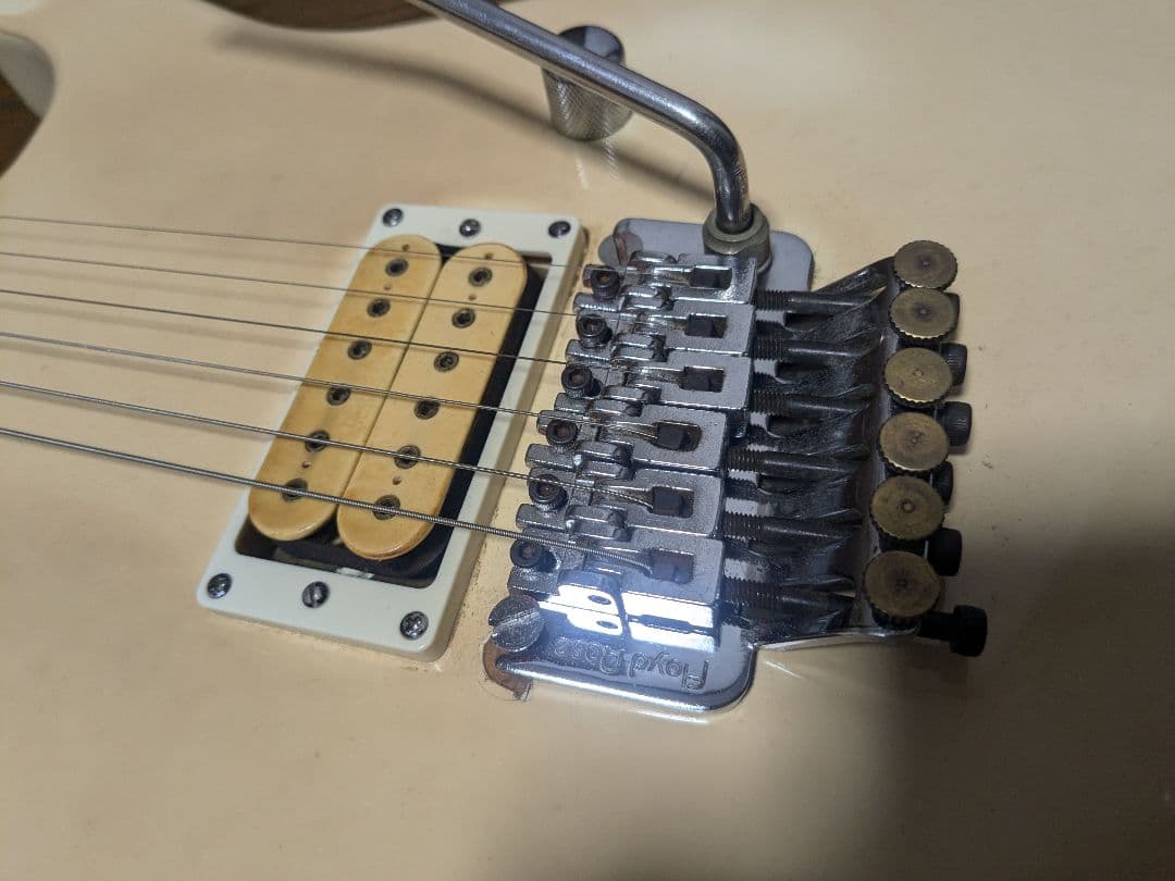 【最終値下げ】Fernandes ウォーレンモデル