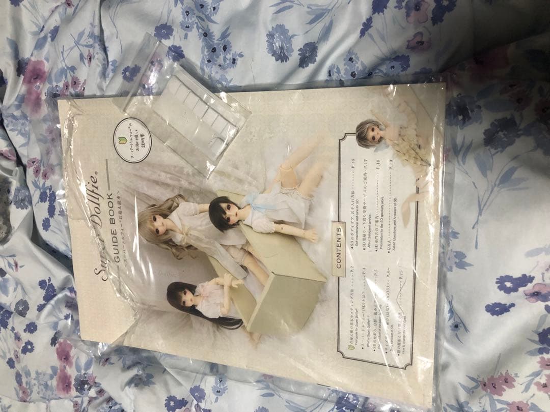 【ルナ】ボークス　SDM 30番ヘッド＋ボディ ＋ お洋服のセット