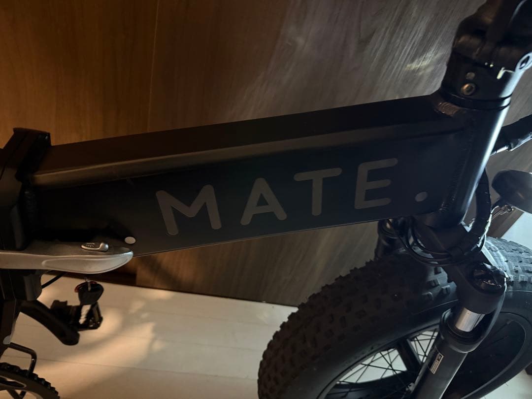 MATE BIKE X 250 メイト電動自転車メイトX 純正カスタム