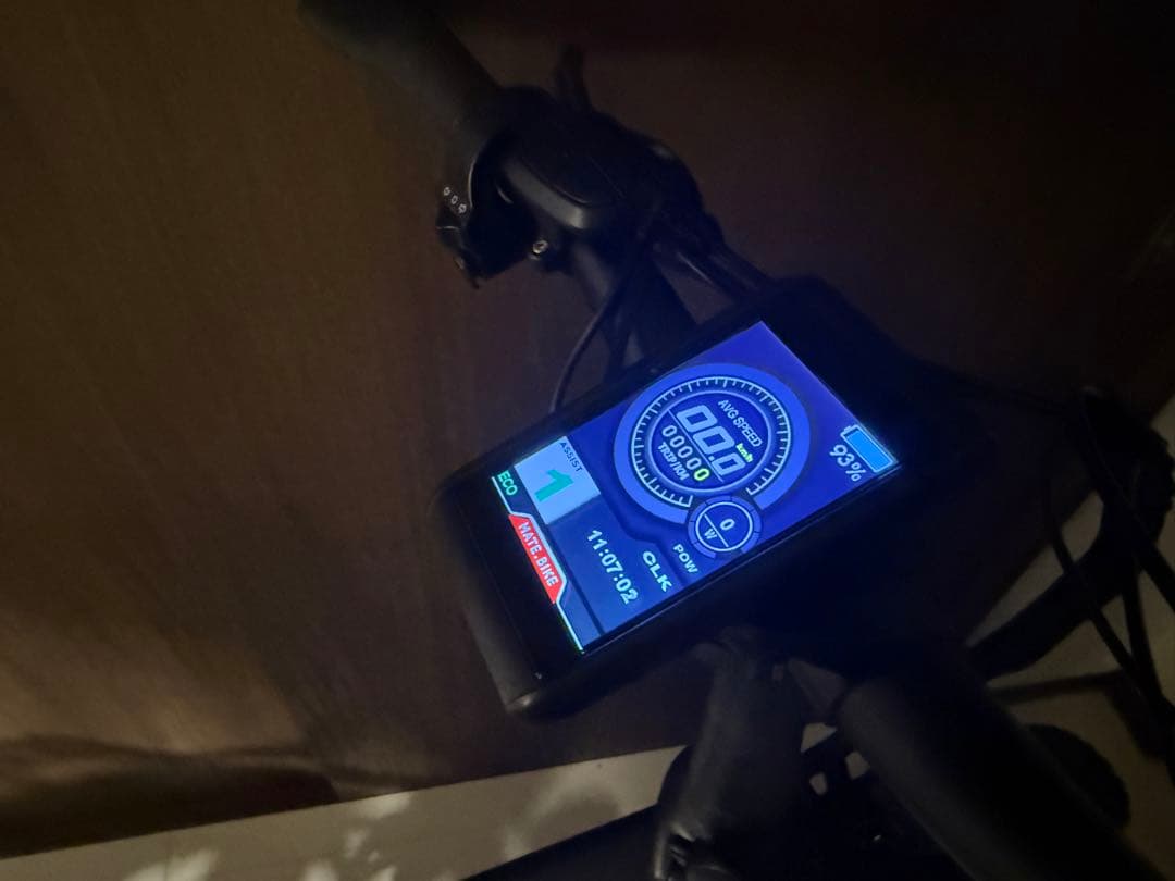 MATE BIKE X 250 メイト電動自転車メイトX 純正カスタム