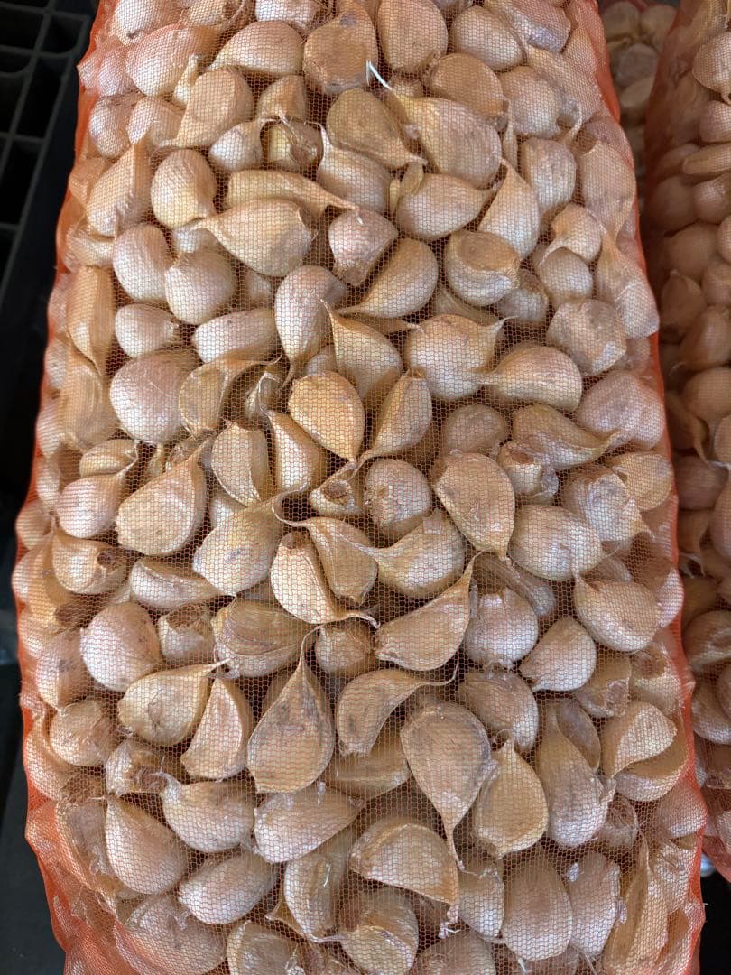 青森県産　消毒にんにく　白玉王　LM 10kg