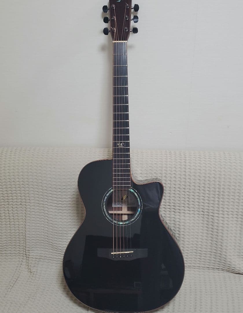 MORRIS S101-Black Eddition- ハードケース付