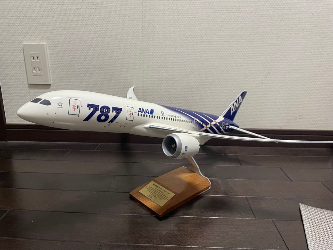 全日空商事 NH00124 1/100 787-8 JA801A 特別塗装