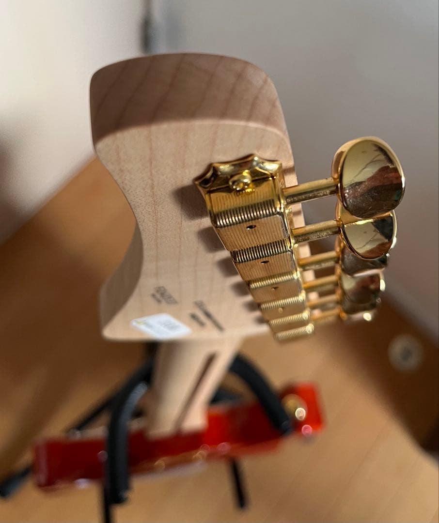 トラ目ネック FUJIGEN(FGN) Expert ODYSSEY EOS2