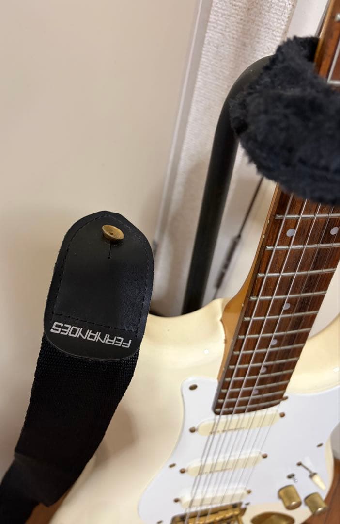 ネ*－様 90's FERNANDES FST-75 F.G.Iピックアップ&5