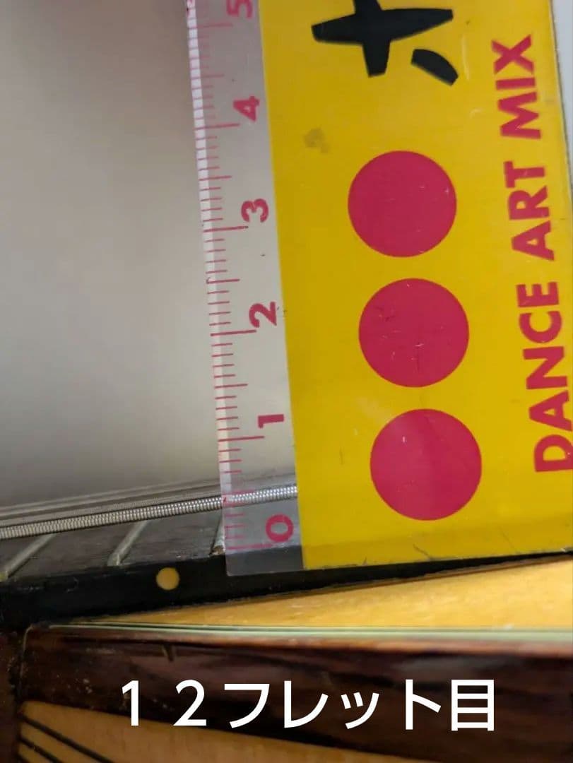 SUZUKI マンドリン M30 ハードケース・TUNING FORK（音叉）