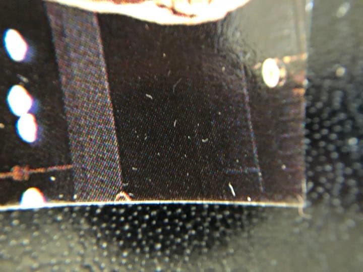 コービーブライアント ルーキーカード 1996年TOPPS R9