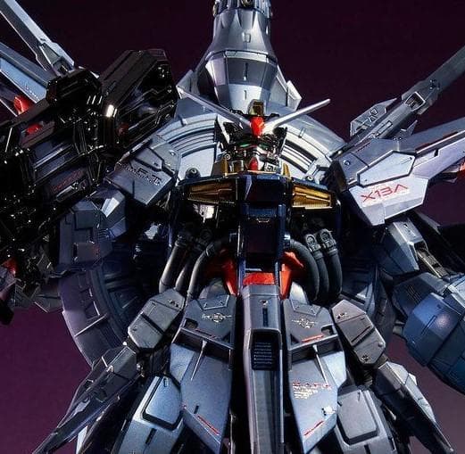 【新品・未組立】ＭＧ 1/100 プロヴィデンスガンダム スペシャルコーティング