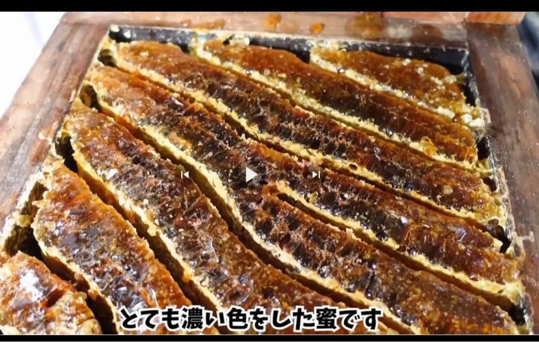 日本ミツバチ純粋蜂蜜　タレ蜜440g 3個