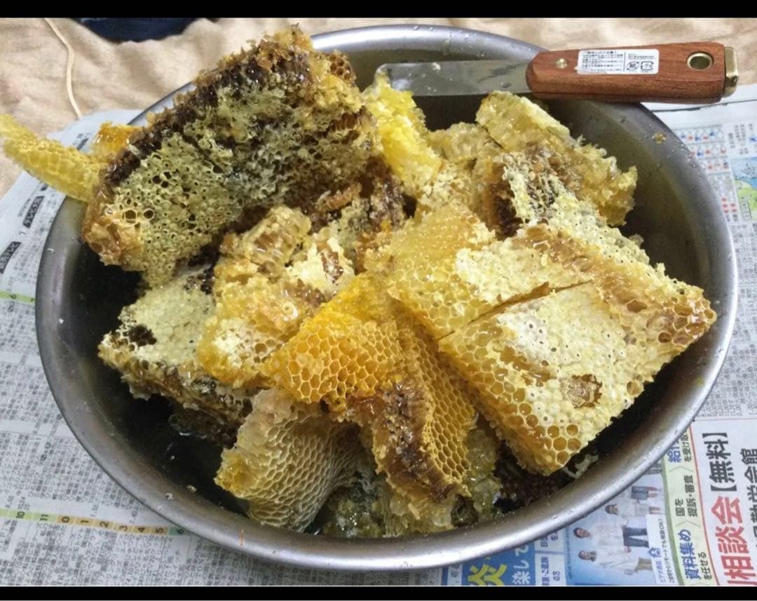 日本ミツバチ純粋蜂蜜　タレ蜜440g 3個