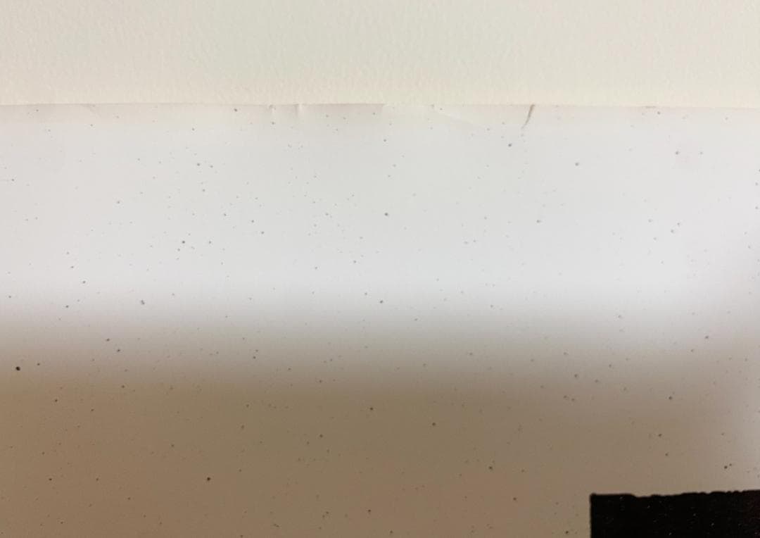 名作！仲條正義 2002年作『仲條のフジのヤマイ』ポスター