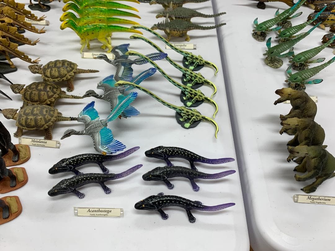 チョコラザウルス 第1、第2、第3、第4、リペイントシリーズ (262体)