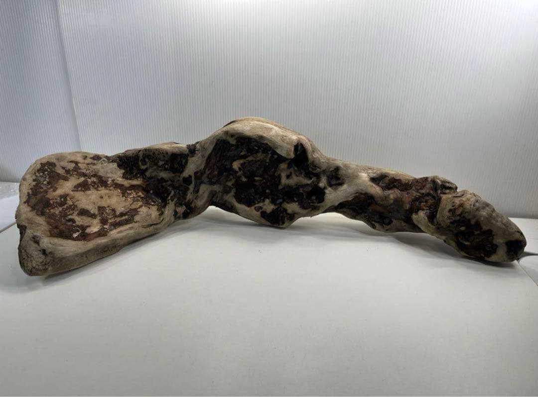 専用品 大型流木 アク抜き済み