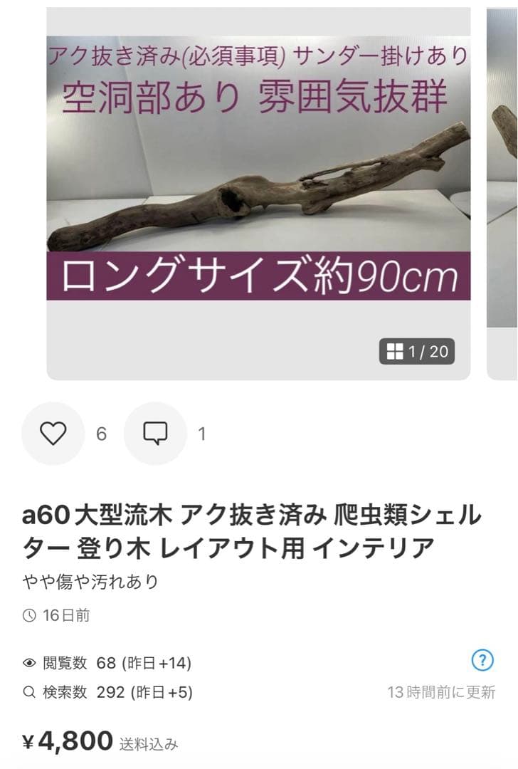 専用品 大型流木 アク抜き済み