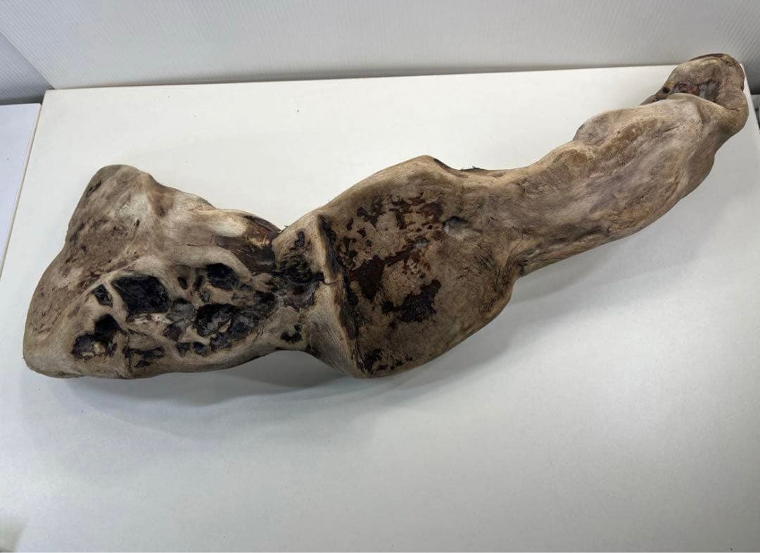 専用品 大型流木 アク抜き済み