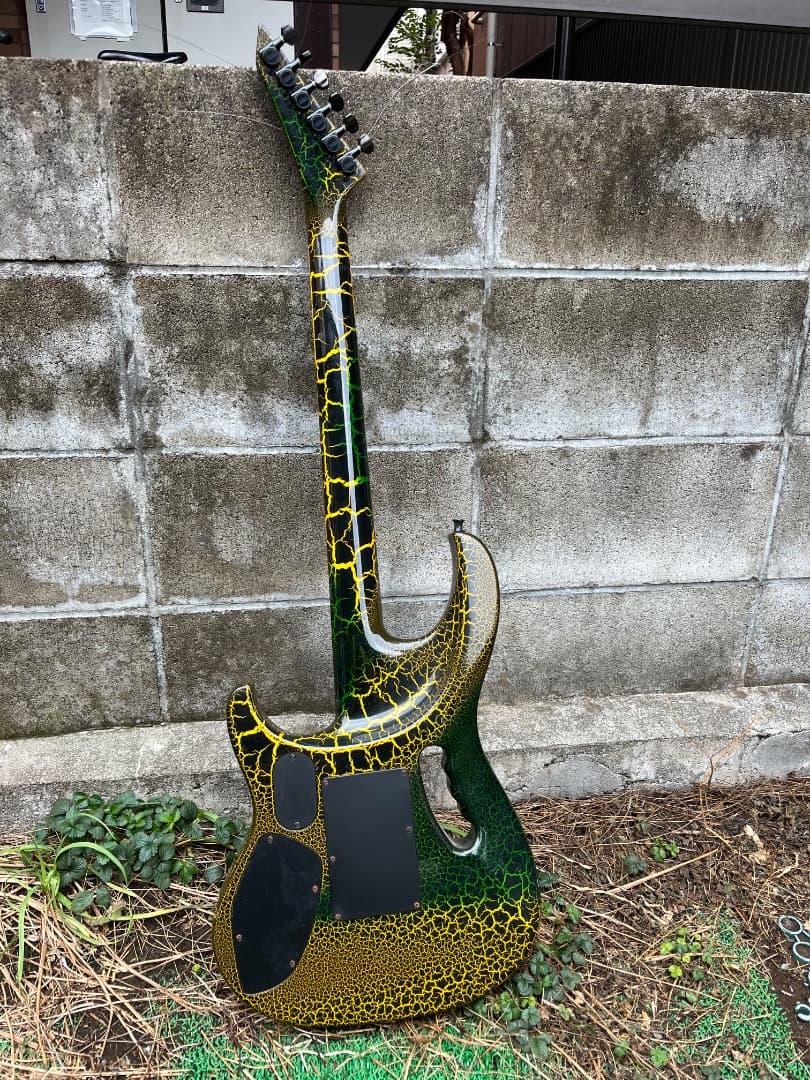 ギター Washburn USA EC-29