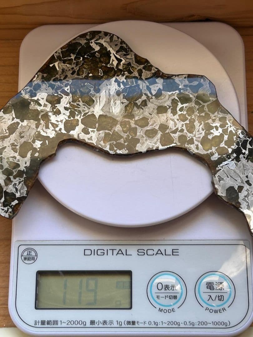 セイムチャン・パラサイト隕石119.00gロシア産クレッシェンド型