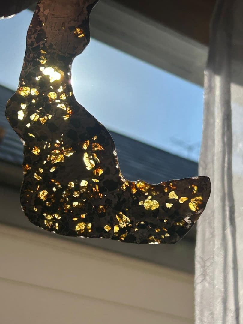 セイムチャン・パラサイト隕石119.00gロシア産クレッシェンド型