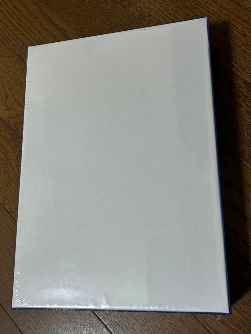 ディズニーシーグランドオープニングジグソーパズル 500ピース