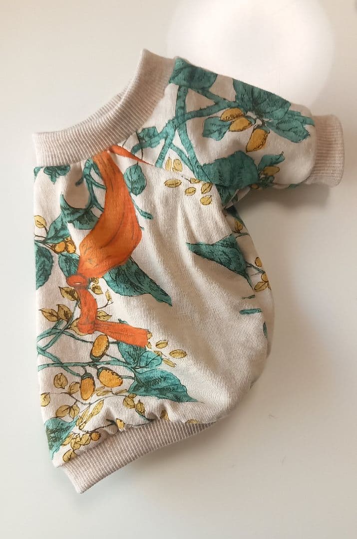 パンプキンイエローの玉ねぎ