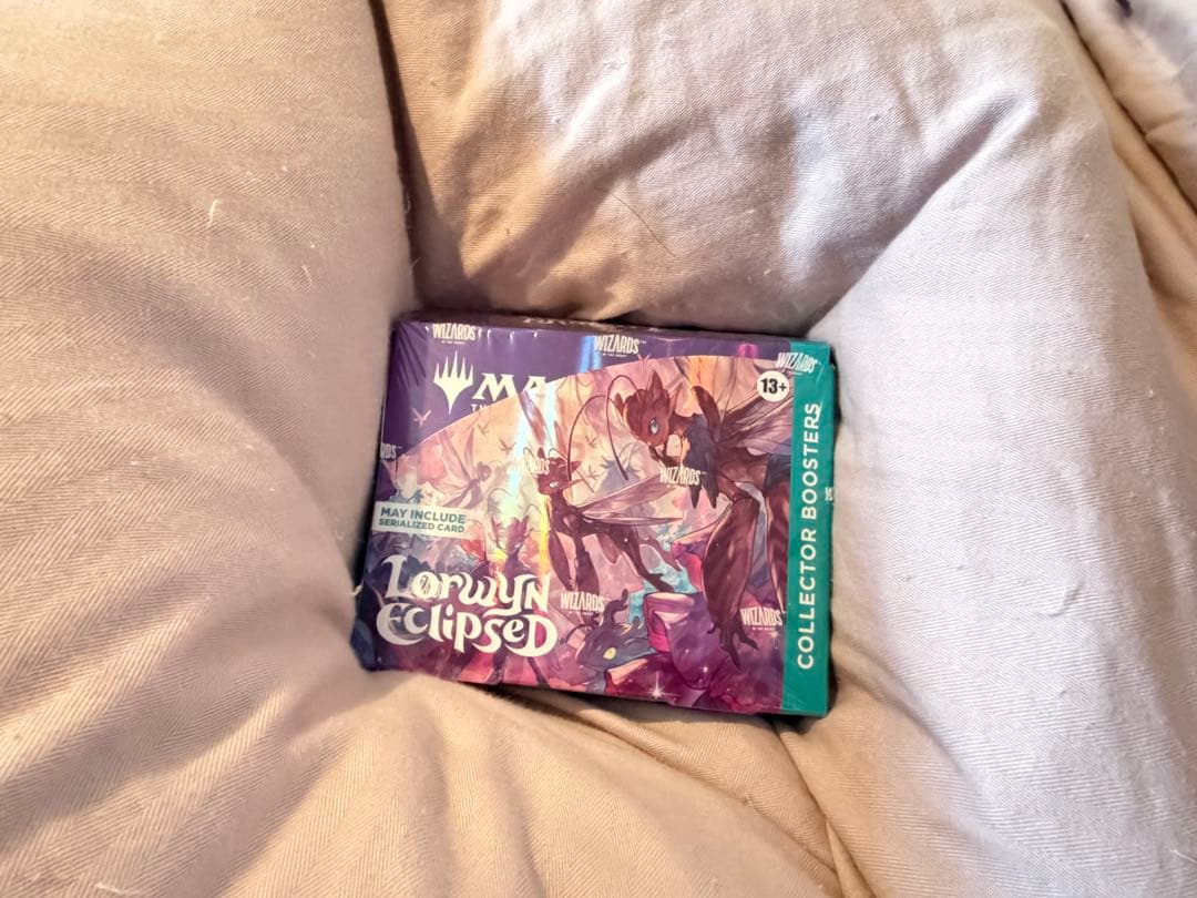 ローウィンの昏明　コレクターブースター　英語版　1BOX　mtg　コレブ