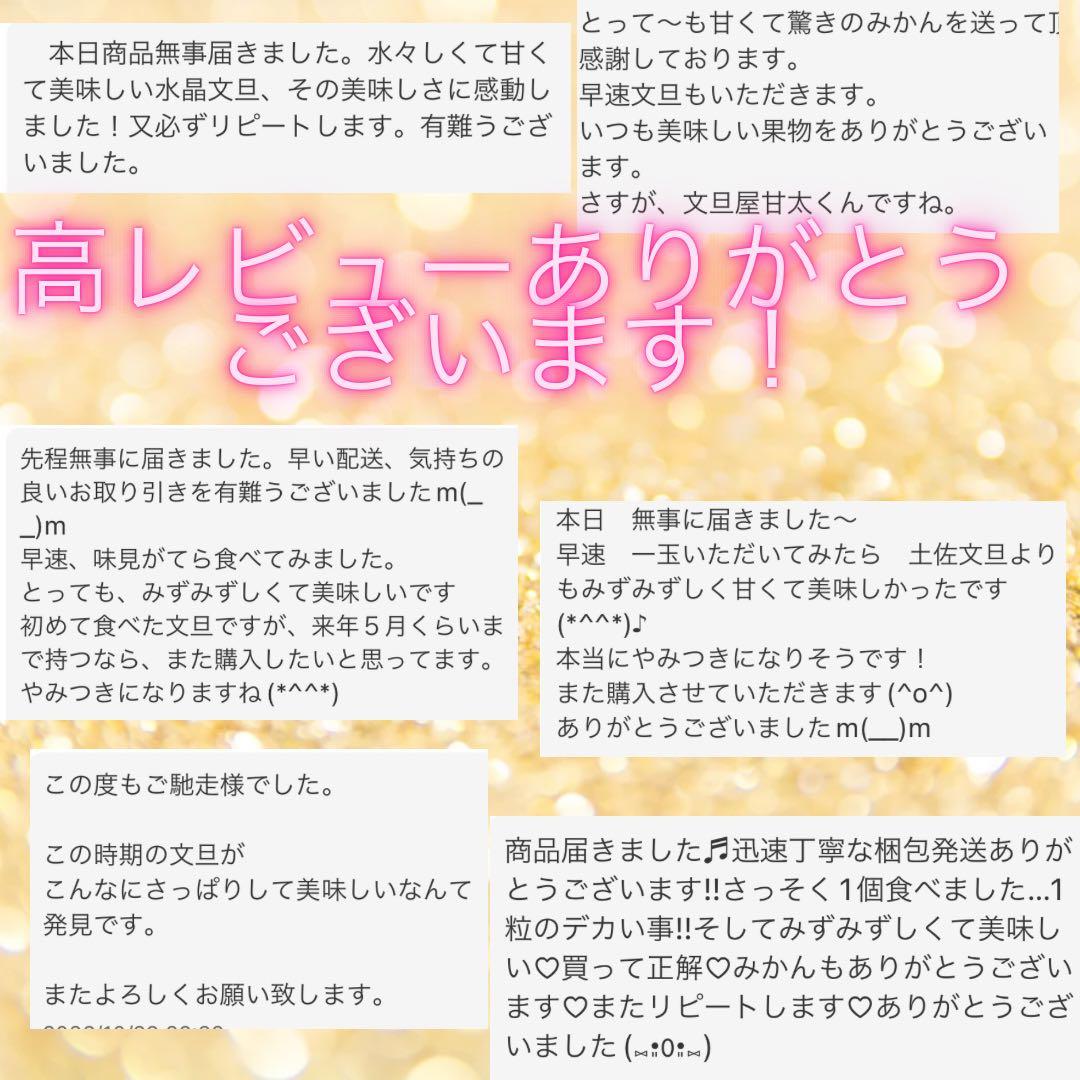 文旦　水晶文旦　柑橘　　11