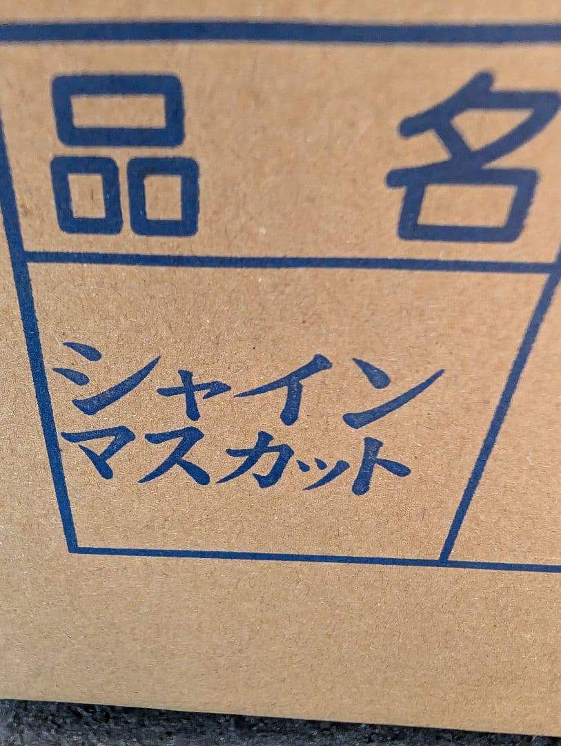 山梨県産ぶどう　シャインマスカット　9房入り　箱込み約5,5kg