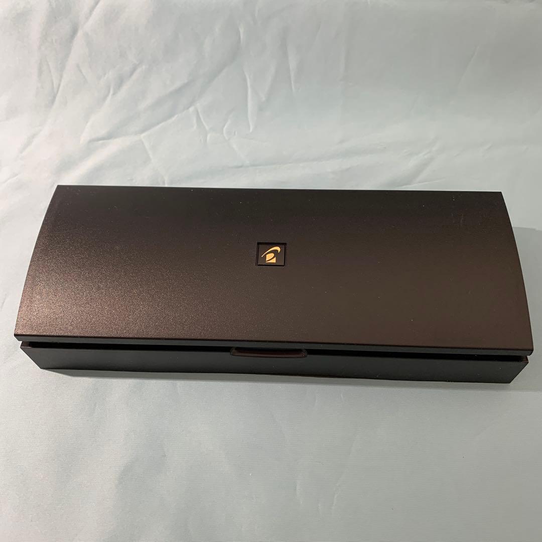 PILOT 万年筆 エラボー 極細字軟SEF FE-25SR-BSEF