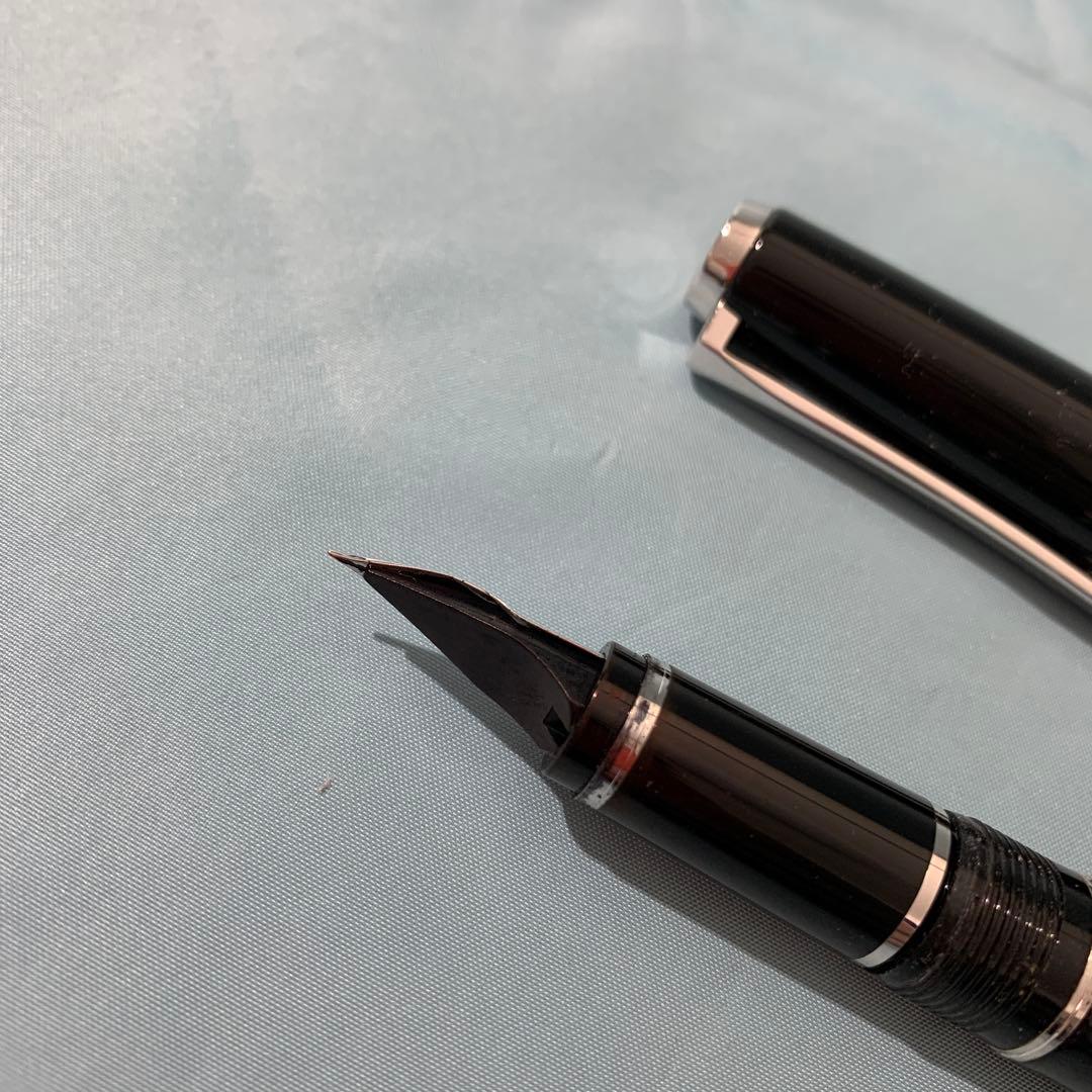 PILOT 万年筆 エラボー 極細字軟SEF FE-25SR-BSEF