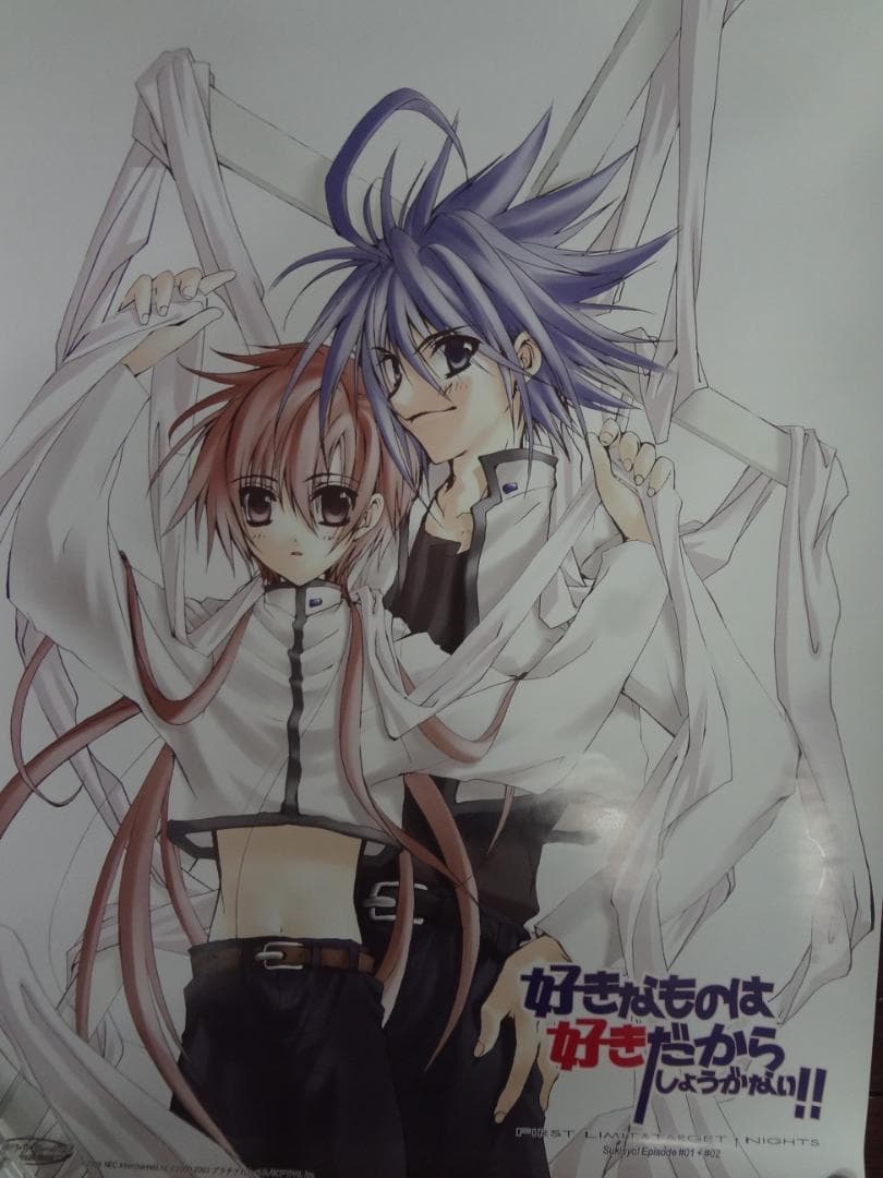 好きなものは好きだからしょうがない!!  入手困難非売品B２サイズポスターセット