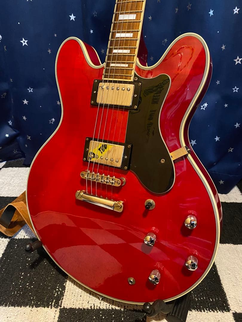 ギター Bacchus BSA800 (Duncan & PRS Pickups)