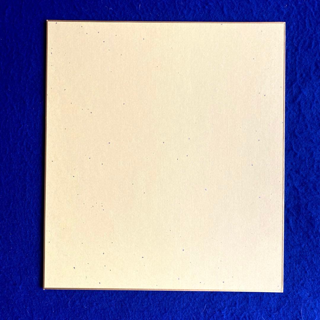 【レア】2016年　浜辺美波　直筆サイン　色紙　映画『妖怪ウォッチ』出演　写真付