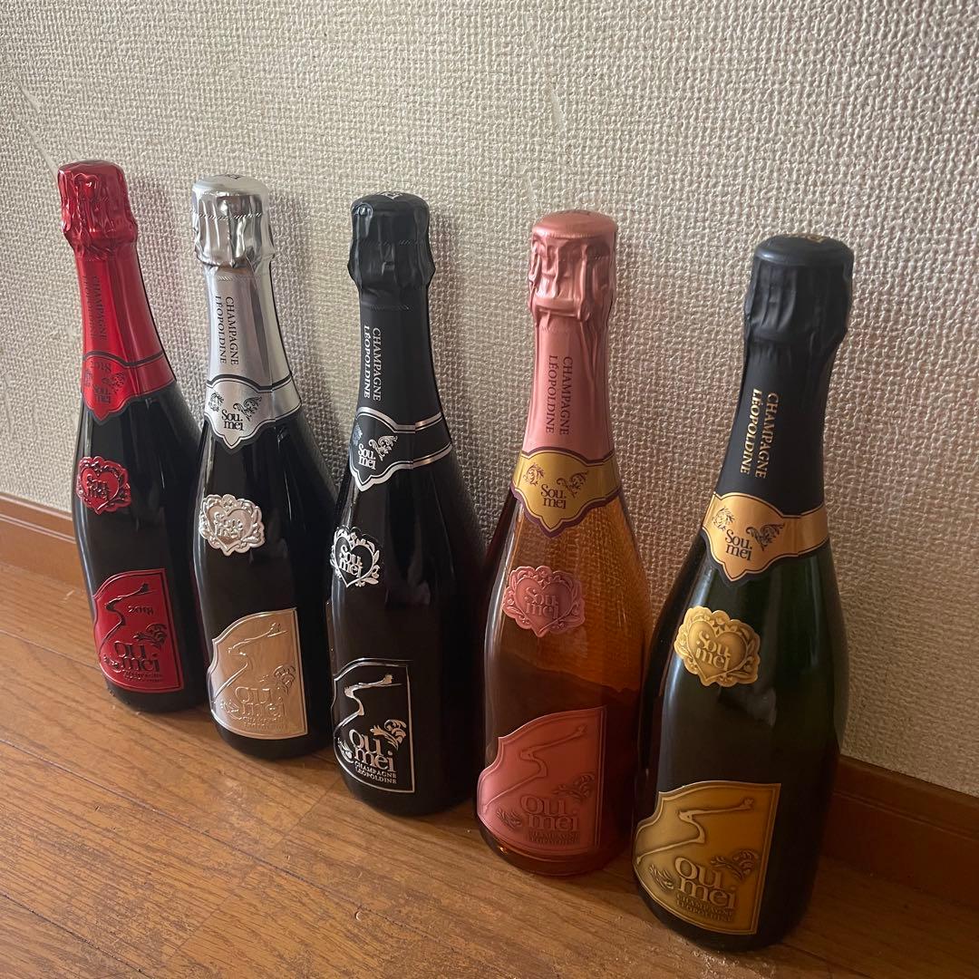 ソウメイ ダミーボトルセット