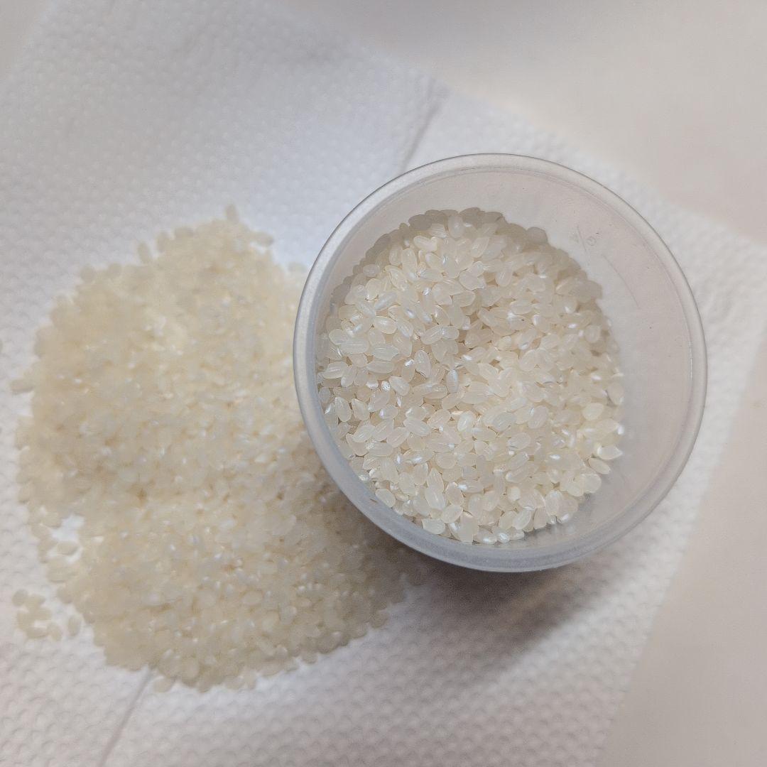 白米 令和７年度産　ひとめぼれ　10キロ