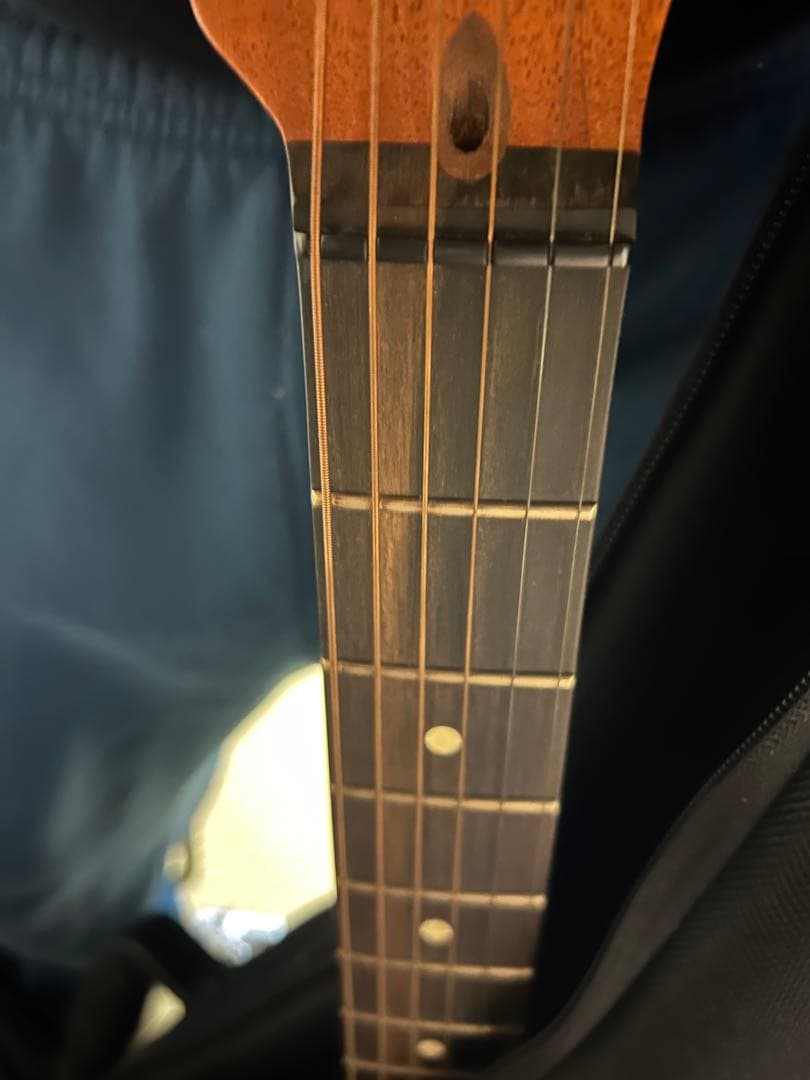 fender アコスタソニックAmerican USA